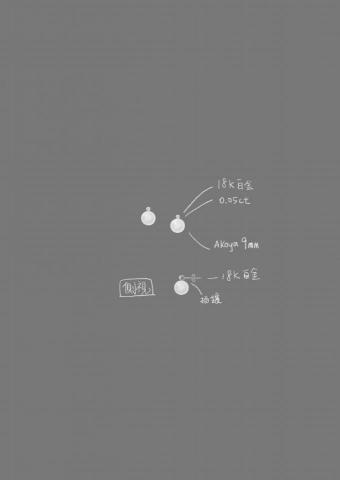 Yulanda - 耳環設計