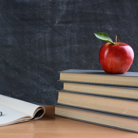 你為什麼不問問神奇海螺呢 - 