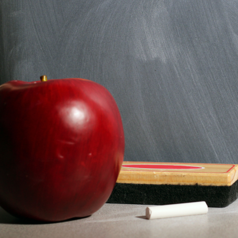 你為什麼不問問神奇海螺呢 - 