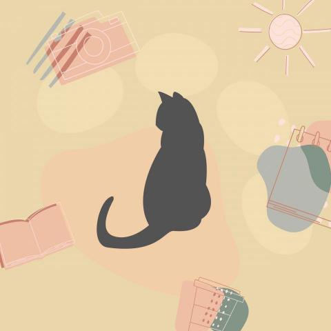 FREEDS studio - 大頭貼設計