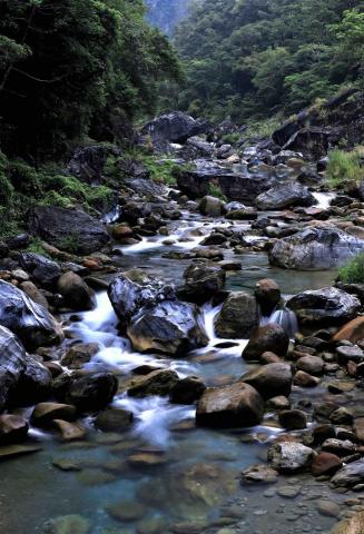 松松株式會攝 - 