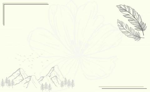 FREEDS studio - 背景圖片設計