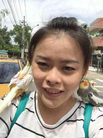 日光甜點室 -  之前幫客人照顧的鸚鵡