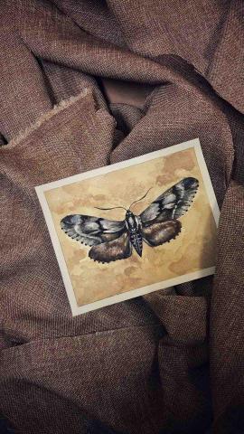 林芳瑩 - 水彩作品