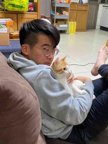 提供西屯服務的專家無