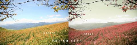 Olfa人生不設限 - 照片氛圍調整微後製