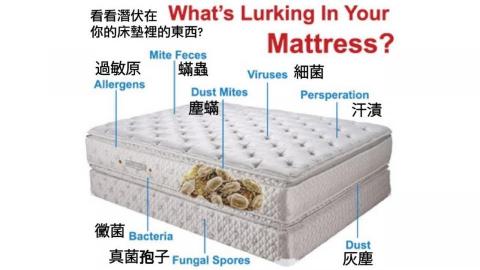 寶傑除塵蟎專業團隊 - 床墊之神秘蟲物~~