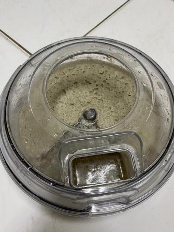 寶傑除塵蟎專業團隊 - 清出來的床墊，如泥一般的嚴重發黴，每天還要給它睡下去嗎？