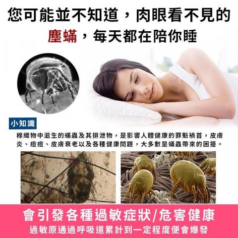 寶傑除塵蟎專業團隊 - 陪睡的蟲蟲危機