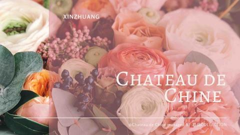 桃紅的黑色 - 星級飯店客用簡報