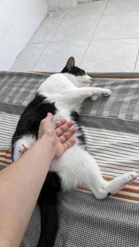 幸福囧小球 - 第一次見面像認識十年的超親人屁屁