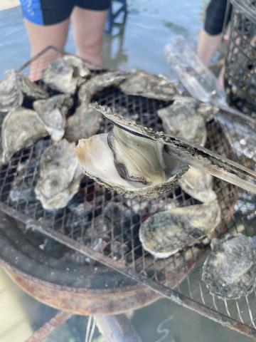 崔普小哀 - 王功漁港 彩雲潮間帶之旅