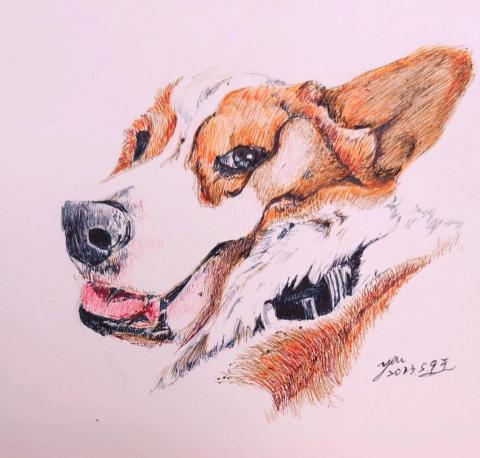 拿起原子筆 - 肉擠成一團的柯基