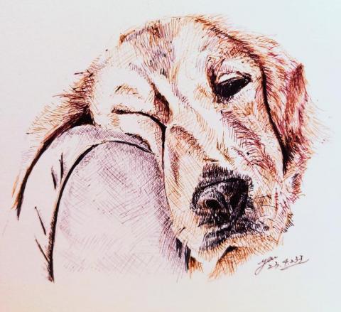 拿起原子筆 - 愛睏的黃金