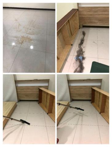 永新清潔 - 居家清潔（家中有寵物）