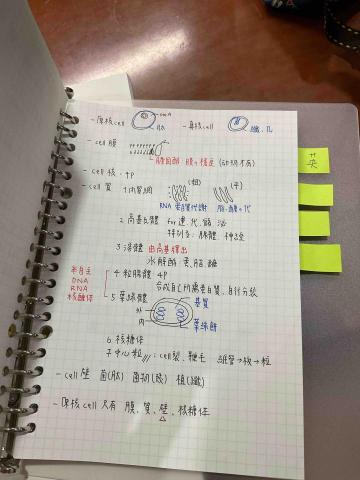 王資婷｜宜蘭縣教學 - 