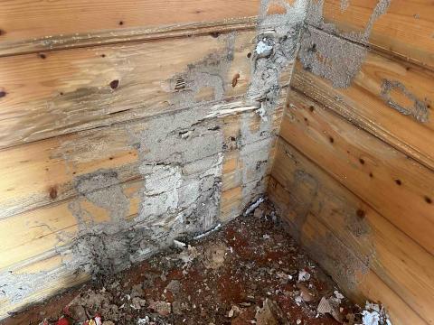 藝橙環保病媒防治 - 白蟻侵蝕