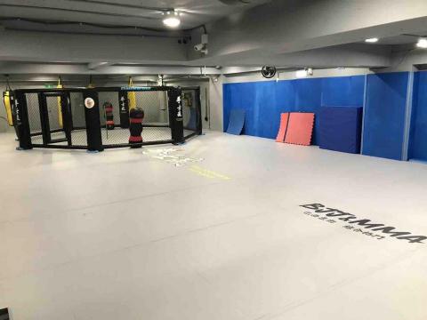 蕭美琦 - 台中拳擊區 蕭美琦 - 台中拳擊區