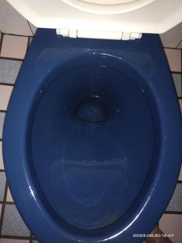 陳雅惠 - 清潔後