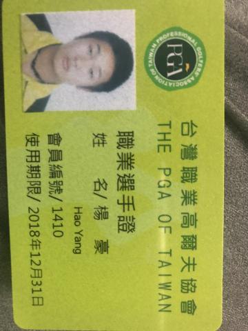 楊豪 - 職業選手