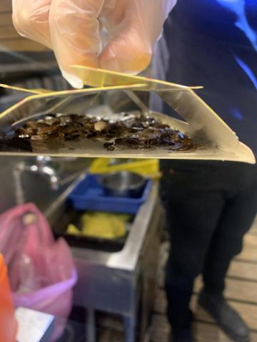 蟲蟲特攻隊 - 某餐廳的廚房裡，蟑螂量很多，不得不用蟑螂屋加減來減少蟑螂的量。