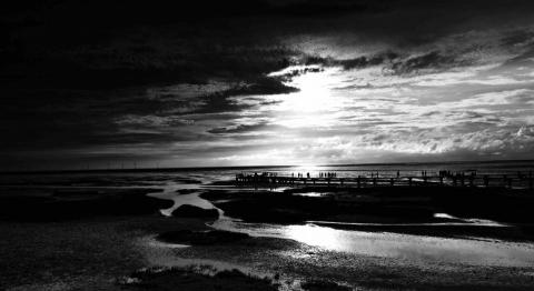 森嵐健一影像創作工作坊 - 日落大道