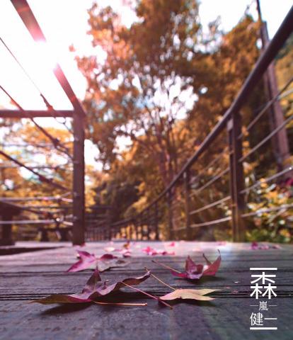 森嵐健一影像創作工作坊 - 落葉?