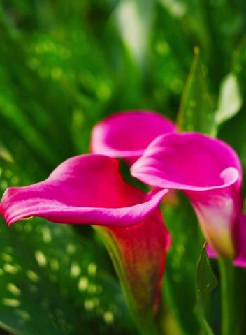 森嵐健一影像創作工作坊 - 