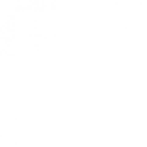 提供經營社群網站服務的專家理恩 Lynn