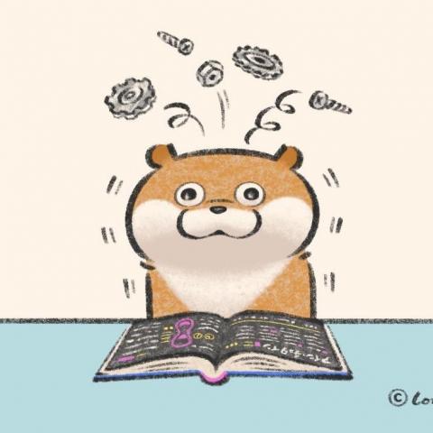 提供n3服務的專家鄒沅軒