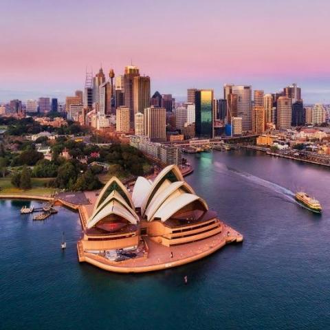 提供日文打字服務的專家Sunny