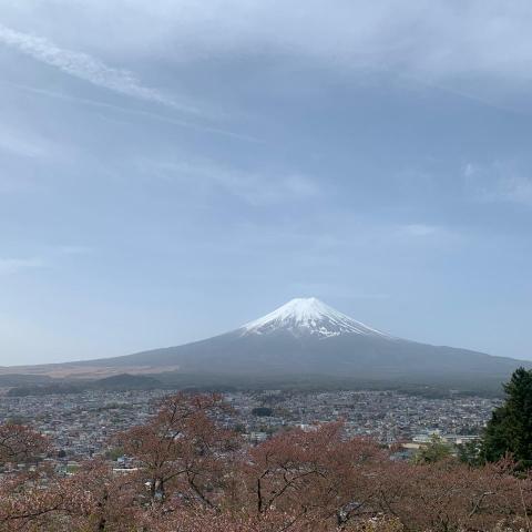 提供siir計畫服務的專家黃佩珊