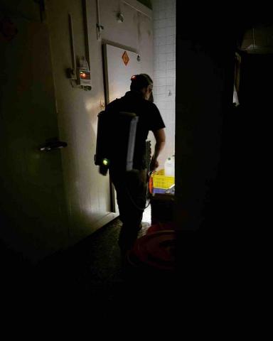 瑞思金有限公司（專業害蟲防治） - 餐廳蟲害防治