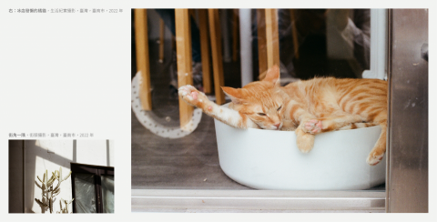 Jerry Wan - 攝影作品2