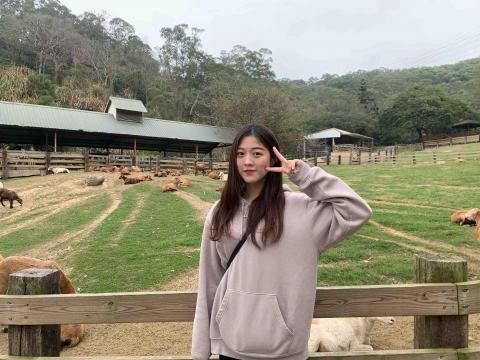 提供led燈串服務的專家葉雲葇