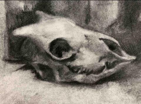 羅勻彤 - 素描臨摹