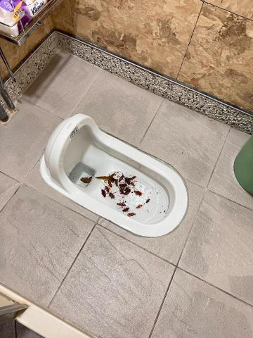 川誼環衛工程企業社 - 蟑螂噴藥