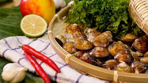 Dante - 於2019-2021 艾美克時所拍攝