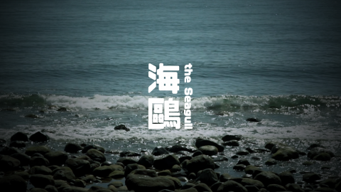 CYJ - 2019臺師大圖傳系年度影展《海鷗》宣傳片剪輯