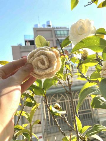 莊詠婕 - 美美的山茶花