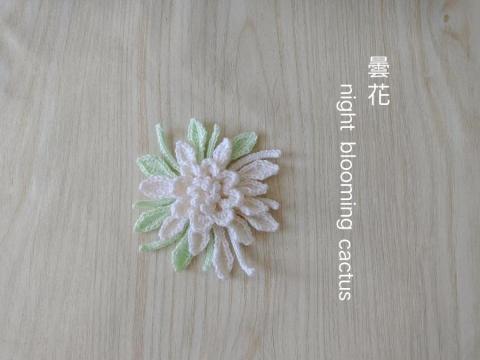 蝶花居(Louisa) - 曇花 蝶花居(Louisa) - 曇花