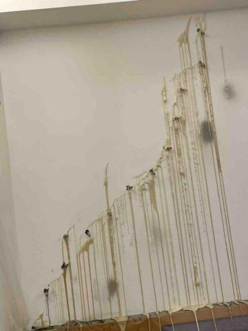 錠維工程企業 - 室內抓漏