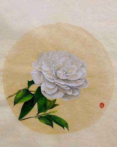 玥陽工筆畫 - 工筆畫山茶花