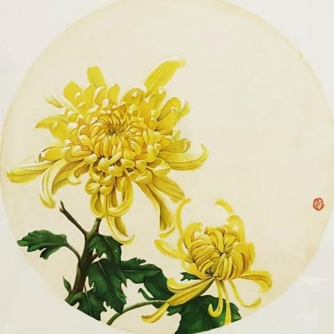 玥陽工筆畫 - 工筆畫菊花