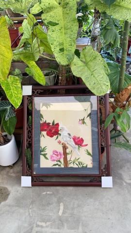 玥陽工筆畫 - 工筆畫白鸚鵡與牡丹