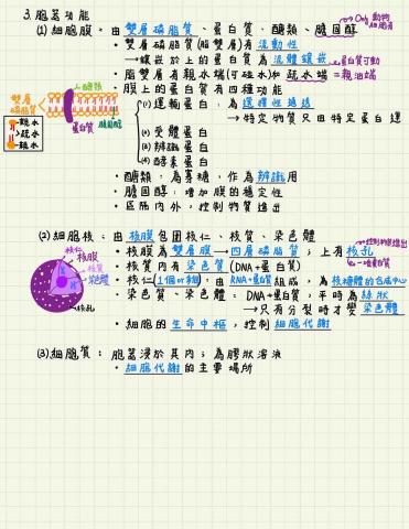 賴伯熏 - 生物學測複習