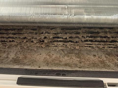 周國棨 - 日立 清洗