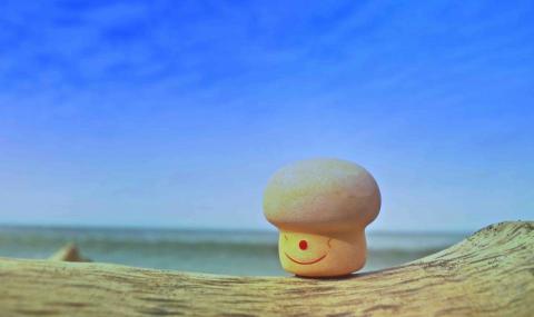 森嵐健一影像創作工作坊 - 