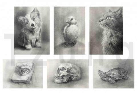 陳宗亮 - 素描教學作品範例