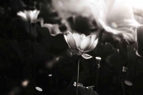 森嵐健一影像創作工作坊 - 